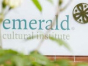 ����� ����������� ����� � Emerald Cultural Institute ��� ��������