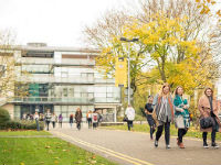 ��������� Foundation ��� University of Lincoln ��� ��������� � 17 ���