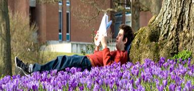 ��������� ���������� � ����������� � University of Sussex ��� ��������� � 17 ���