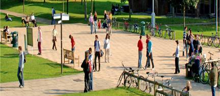 ��������� ���������� � ����������� � University of Sussex ��� ��������� � 17 ���