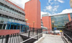 ������ ����� ����������� ����� � South Bank University ��� �������