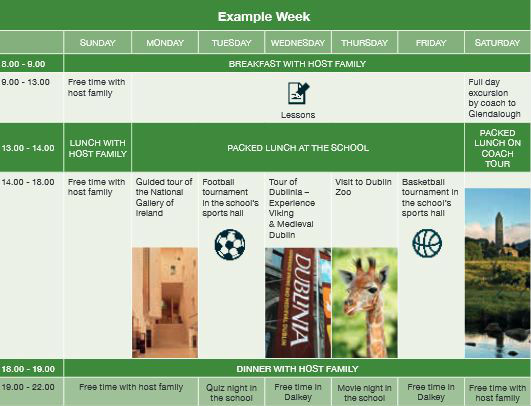 ������ ����� ����������� ����� � Frances King School of English, Dublin ��� �����