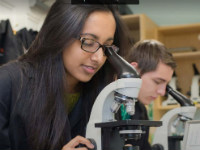 ��������� Foundation MPW Birmingham ��� ��������� 17+ ���
