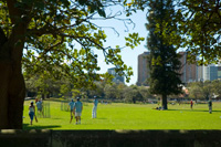 Greenwish School of Management
